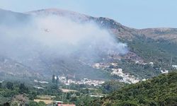 Marmara Adası yangınında 1 kişi gözaltında