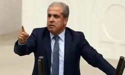 Şamil Tayyar'dan DEM Parti'ye: 'Zapturapt altına alınmalı'