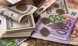 Dolar/TL 49 Lirayı aştı: Tarihi rekor yenilendi