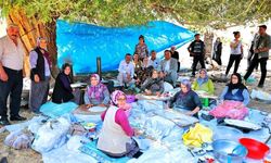 Üreticilere mazot desteğinde dağıtımlar sürüyor