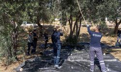 Bornova'nın parklarından dayanışma fışkırdı