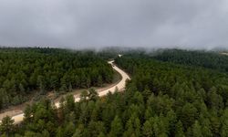 Demirci Söğütçük'te 11 kilometrelik yol için çalışma başladı