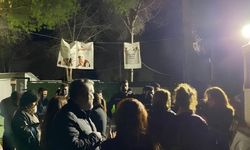 Ege Üniversitesi'nde gece baskını: 200 köpek toplandı