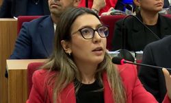 Yeni Partili Özkan'dan AKP'li Tugay'a zehir zemberek sözler!