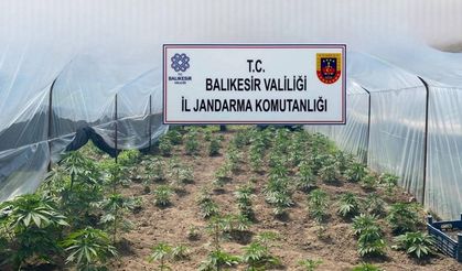 Balıkesir’de jandarmadan organize suçlara karşı geniş çaplı operasyon