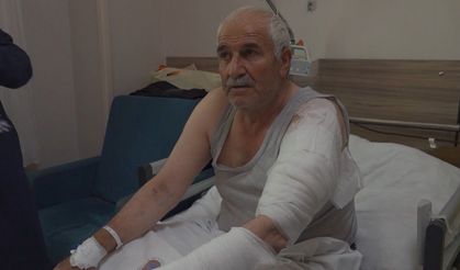 Ot biçen vatandaş kurdun saldırısına uğradı