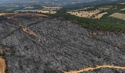 Uşak’ta yanan ormanlık alan havadan görüntülendi