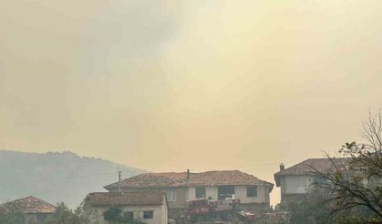 Uşak’ta yangına havadan ve karadan müdahale... 1 köy tahliye ediliyor