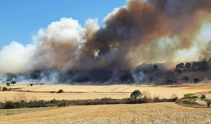 Çanakkale’de orman yangını