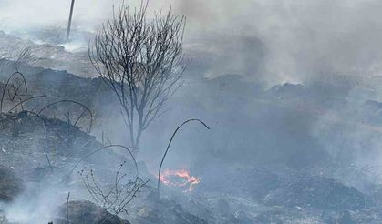 Manyas Kuş Cenneti yakınında yangın paniği
