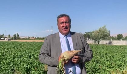 CHP Gürer:  Şekerpancarı alım fiyatı çiftçiyi mutlu etmedi