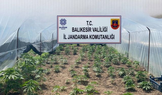 Balıkesir’de jandarmadan organize suçlara karşı geniş çaplı operasyon