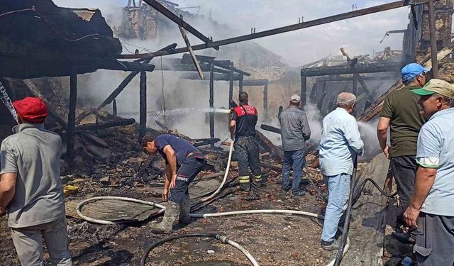 Bahçede yakılan ateş 2 ev ve 1 metruk binayı kül etti