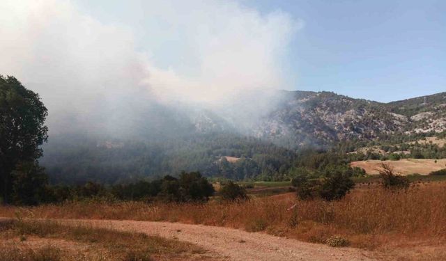 Bilecik’te başlayan orman yangını hızla büyüyor