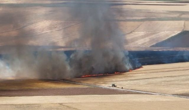 Elazığ’da arazi yangını, ekili alanlarda küle döndü