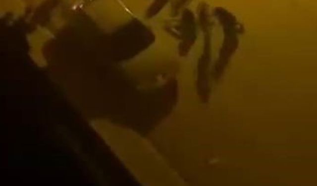Elazığ’da bıçaklı kavga: 1 yaralı