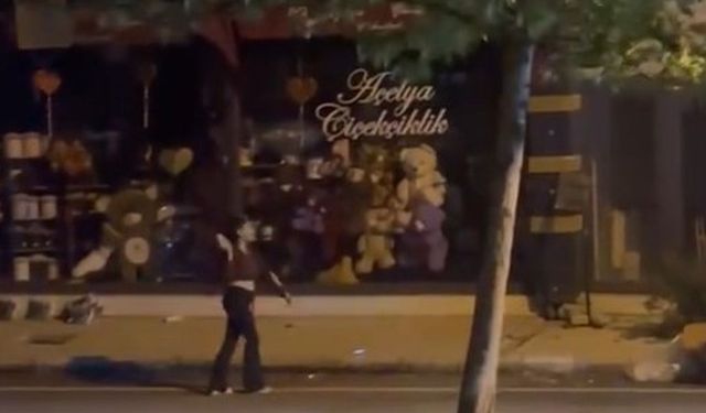 Elazığ’da kadın, bir iş yerine taşla saldırdı