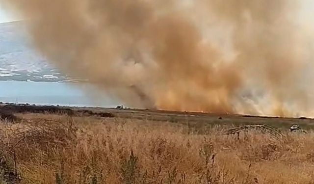 Elazığ’da otluk alanda çıkan yangın korkuttu