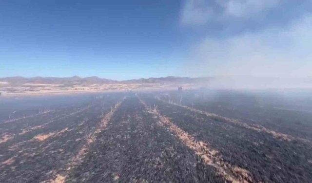 Elazığ’da yangın, 60 dönümlük ekili alanı küle çevirdi