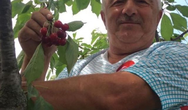 Elektrik akımına kapıldı, hayatını kaybetti