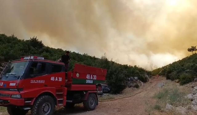 Gaziantep’te orman yangını: Yangına havadan ve karadan müdahale ediliyor