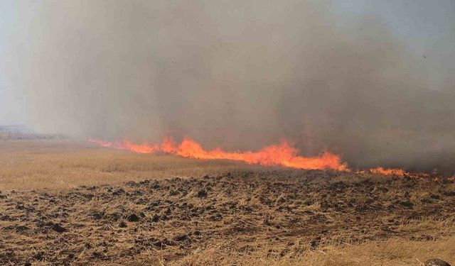 Gaziantep’teki çıkan anız yangını fabrikaları tehdit etti