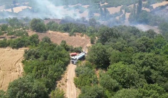 İnegöl’de orman yangını kontrol altına aldı, yangının çıkış nedeni ortaya çıktı