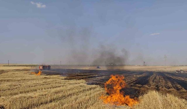 Mardin’de çıkan anız ve orman yangınları söndürüldü