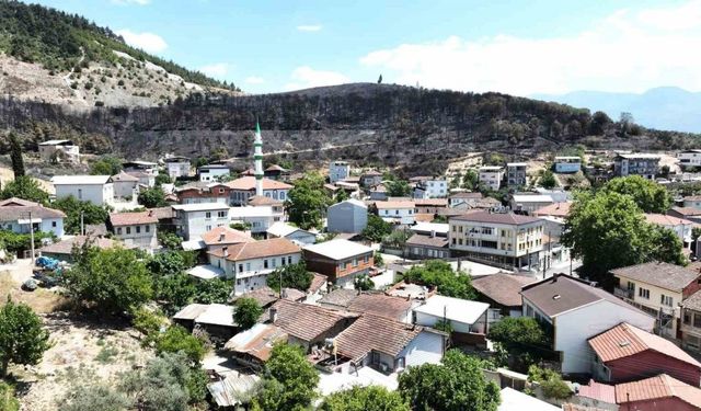 (Özel) Zümrüt yeşili orman manzaraları kömürlüğe döndü