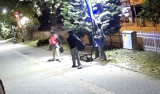 Pes dedirten görüntü: Eğlence için aydınlatma direklerine binlerce liralık zarar verildi
