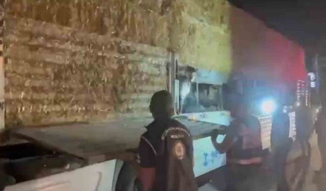 Saman balyalarının altına saklanan 31 kaçak göçmen yakalandı