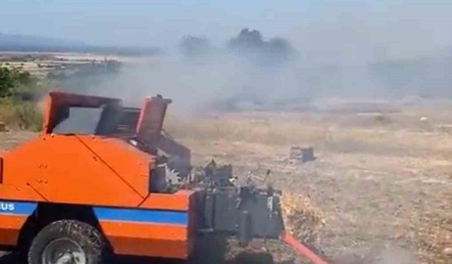 Tarım arazisinde başlayıp ormana sıçrayan yangının çıkış sebebi belirlendi