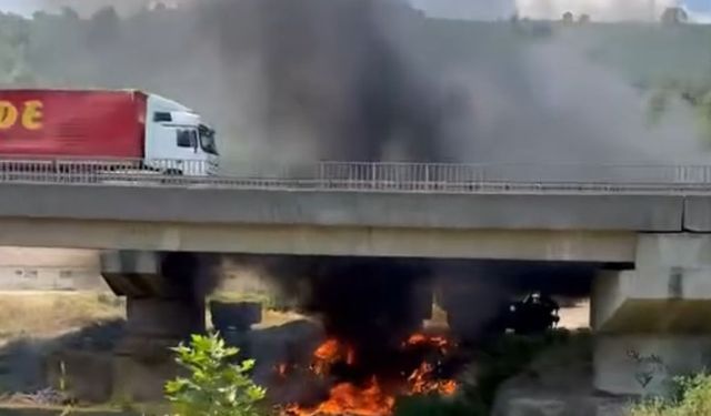 TEM’de korkutan yangın