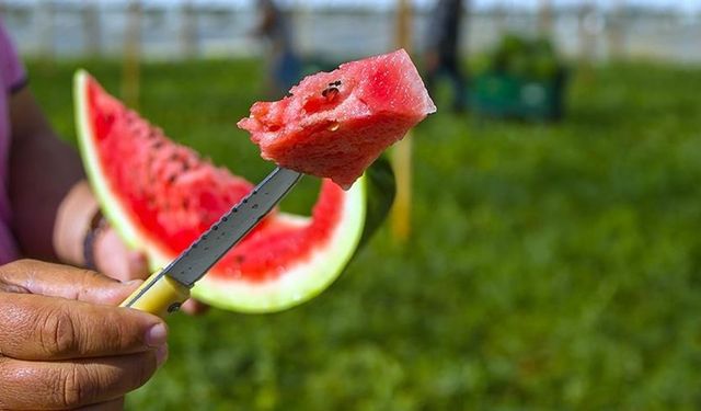 Yaz sıcaklarında serinlik arayanlara: Karpuz seçme rehberi!