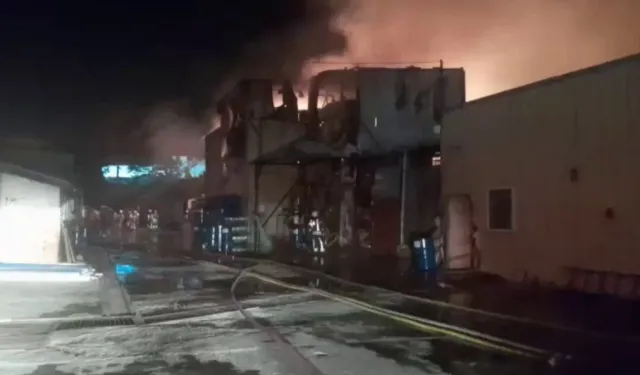 İstanbul Çekmeköy’de sünger fabrikası yandı