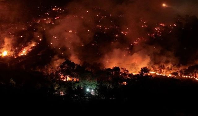 Bursa’da yangınların biri bitiyor biri başlıyor