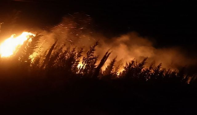 İzmir Urla’da orman yangını kontrol altına alındı