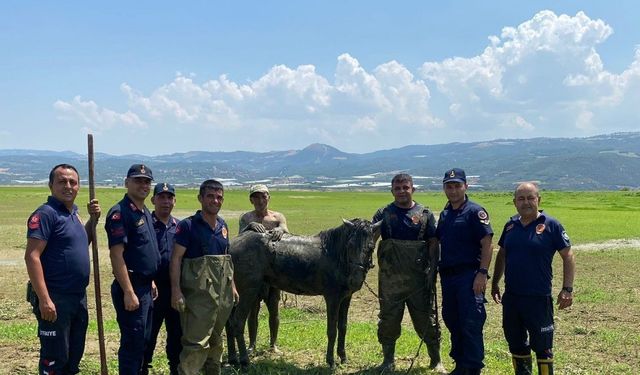 Katırlarını kurtarmak isterken kendisi de battı