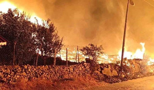 Köyde çıkan yangında 6 ev küle döndü