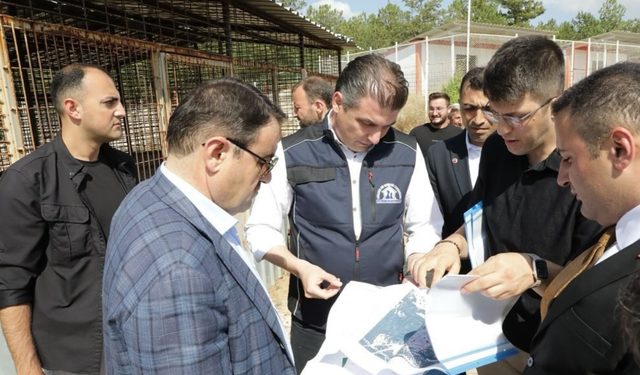 Kütahya Valisi Işın’dan Sahipsiz Hayvanlara Önemli Mesaj