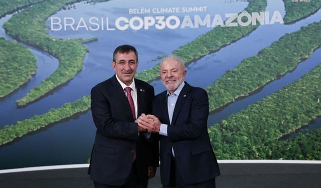 Cumhurbaşkanı Yardımcısı Brezilya Devlet Başkanı ile görüştü