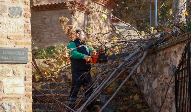 Başkan Yetişkin'den kentin tarihi mekanlarında bakım çalışması