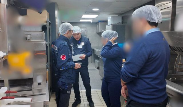 Bodrum'da halk sağlığı için sıkı denetimler sürüyor