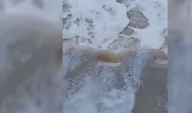 İZDENİZ'den körfez açıklaması