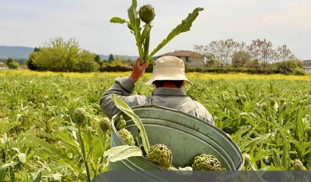 İzmir'in sürdürülebilir turizm hikâyesi 'Halkın Seçimi' nde