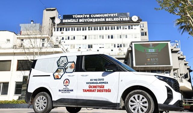 Ulu çınarların tamirat derdine son