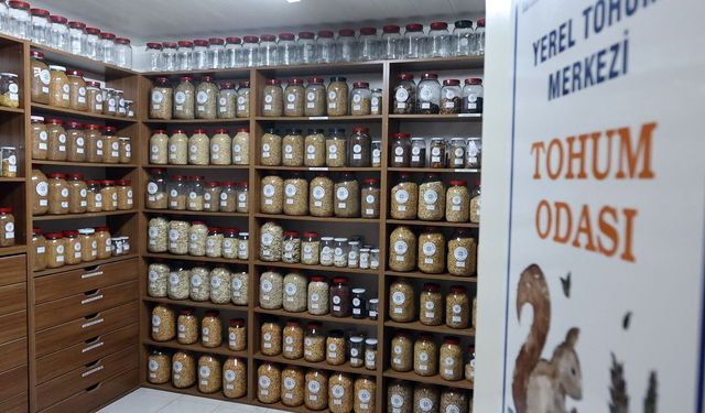 Büyükşehir Yerel Tohum Merkezi'nden 81 ile 22 milyon yerel tohum desteği