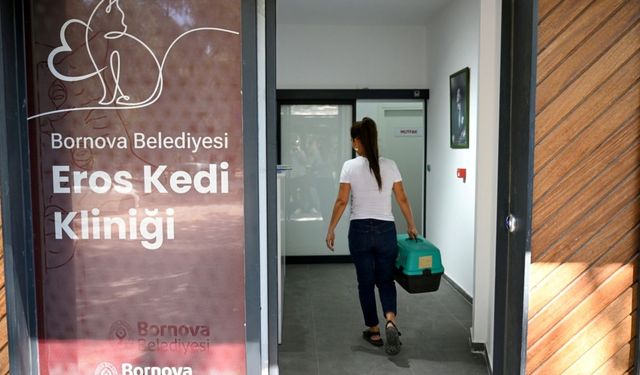 Eros Kedi Kliniği Bornova'da umut merkezi oldu