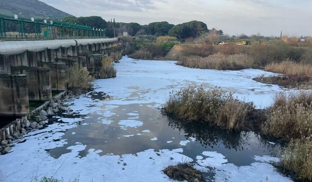 Gediz'deki kirlilik tarımı ve körfezi tehdit ediyor