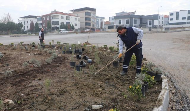 Turgutlu'da kent estetiğine dokunuş